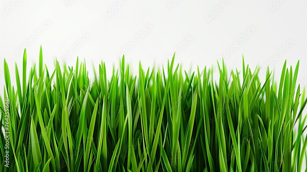 Spring's Gentle Whisper: A Hyper-Realistic View of Soft, Fresh Spring Green Grass, Bathed in a Calming, Diffused Light, Against a Minimalist White Background. Spring's Gentle Whisper: A Hyper-Realistic View of Soft, Fresh Spring Green Grass, Bathed in a Calming, Diffused Light, Against a Minimalist White Background.