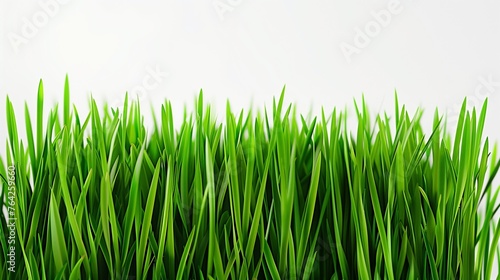 Spring's Gentle Whisper: A Hyper-Realistic View of Soft, Fresh Spring Green Grass, Bathed in a Calming, Diffused Light, Against a Minimalist White Background.