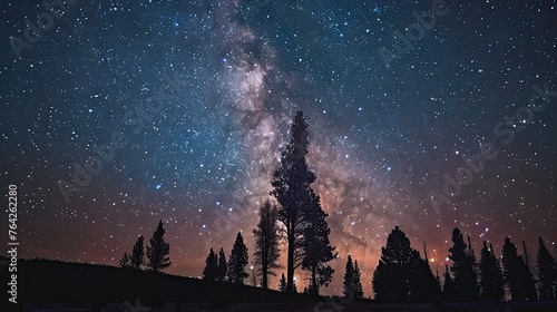 a blue dark night sky adorned with countless stars, stretching over a vast field of trees in Park, with the Milky Way galaxy painting the celestial canvas in the background. © lililia