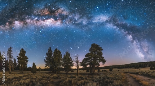 a blue dark night sky adorned with countless stars  stretching over a vast field of trees in Park  with the Milky Way galaxy painting the celestial canvas in the background.