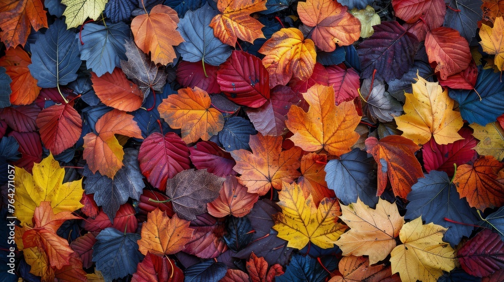 Pile of Fallen Leaves on Ground Pile of Fallen Leaves on Ground