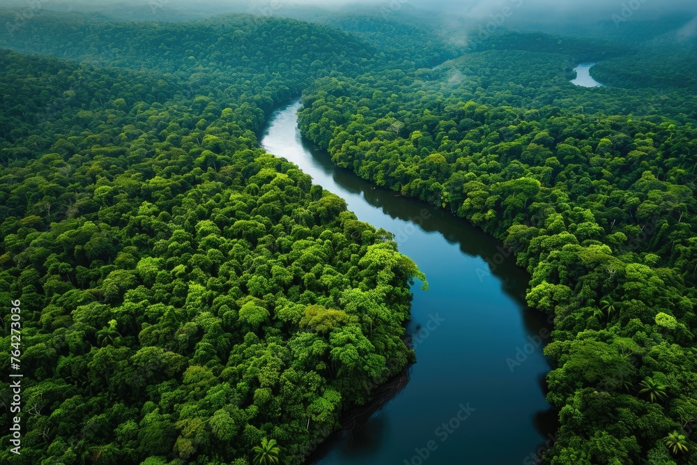A river flows through a densely green forest, showcasing the natural beauty of the vibrant landscape, Winding river cutting through a dense jungle, AI Generated A river flows through a densely green forest, showcasing the natural beauty of the vibrant landscape, Winding river cutting through a dense jungle, AI Generated