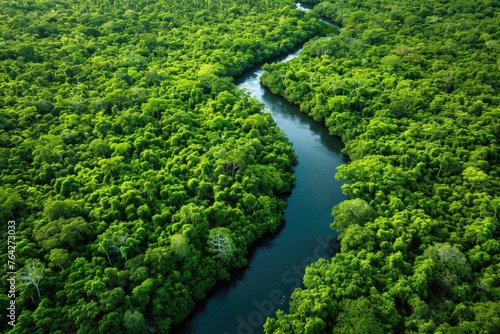 A river meandering through a dense, green forest surrounded by tall trees and lush vegetation, Winding river cutting through a dense jungle, AI Generated
