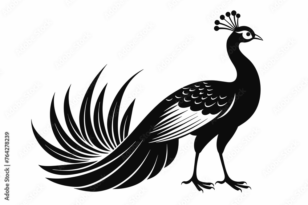 peacock bird tracing line sharp outline 8k silho peacock bird tracing line sharp outline 8k silho