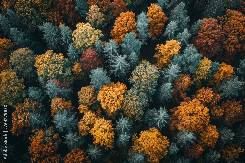 An aerial perspective of a collection of trees, showcasing the natural landscape from above, A dense forest during autumn fall colors from above, AI Generated An aerial perspective of a collection of trees, showcasing the natural landscape from above, A dense forest during autumn fall colors from above, AI Generated