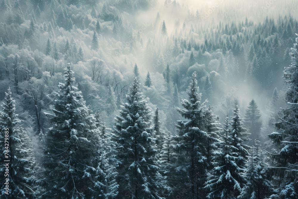 Be transported to a winter wonderland as you behold a sprawling forest dotted with countless snow-laden trees, A dense pine forest covered in snow, AI Generated