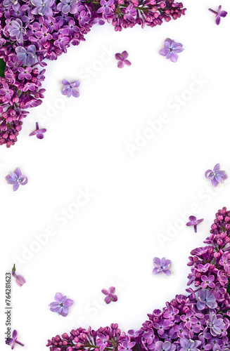 Violet flowers lilac ( Syringa vulgaris ) on a white background with space for text. Spring flowers. Top view, flat lay
