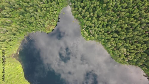 Nice scene of lake seen from above surrounded by forest. Climate change saving planet photo