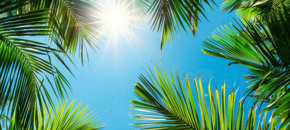 Serenity in Nature, Silhouetted Palm Leaves under Azure Skies Serenity in Nature, Silhouetted Palm Leaves under Azure Skies