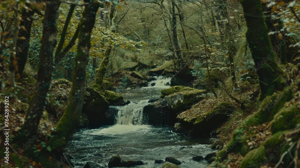 a stream running through a lush green forest filled with lots of trees and moss growing on both sides of the stream. a stream running through a lush green forest filled with lots of trees and moss growing on both sides of the stream.