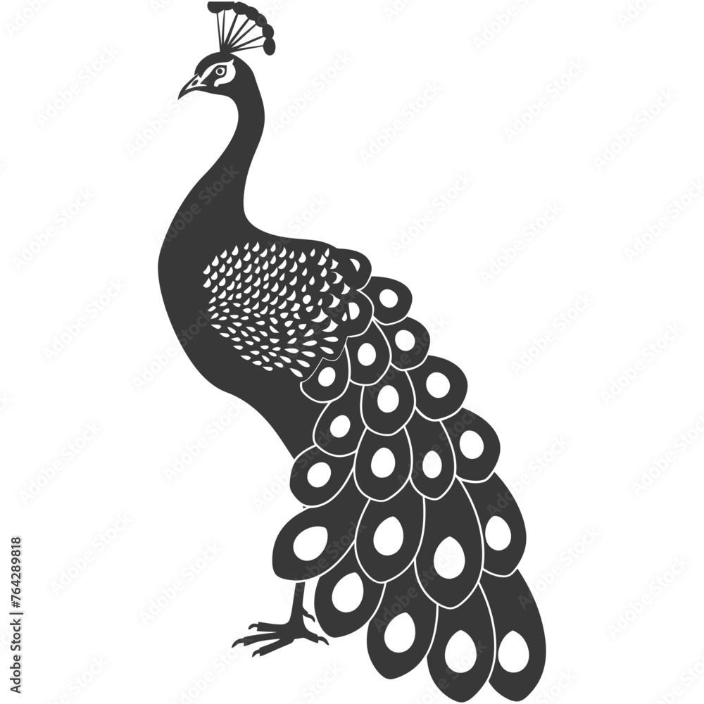 Fototapeta premium Silhouette Peafowl Birds Animal black color only
