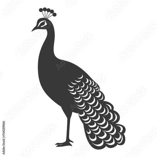 Silhouette Peafowl Birds Animal black color only
