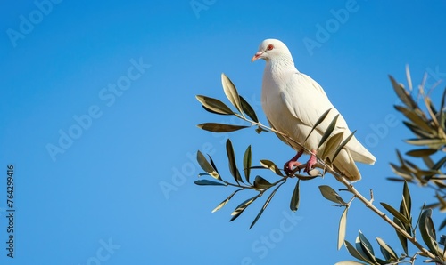 White pigeon perched on a branch with an olive branch in its beak against a serene blue sky