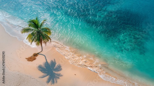 Aerial View of Beach With Palm Tree