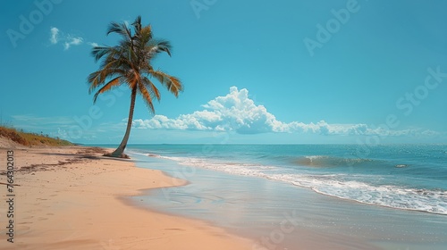 Aerial View of Beach With Palm Tree