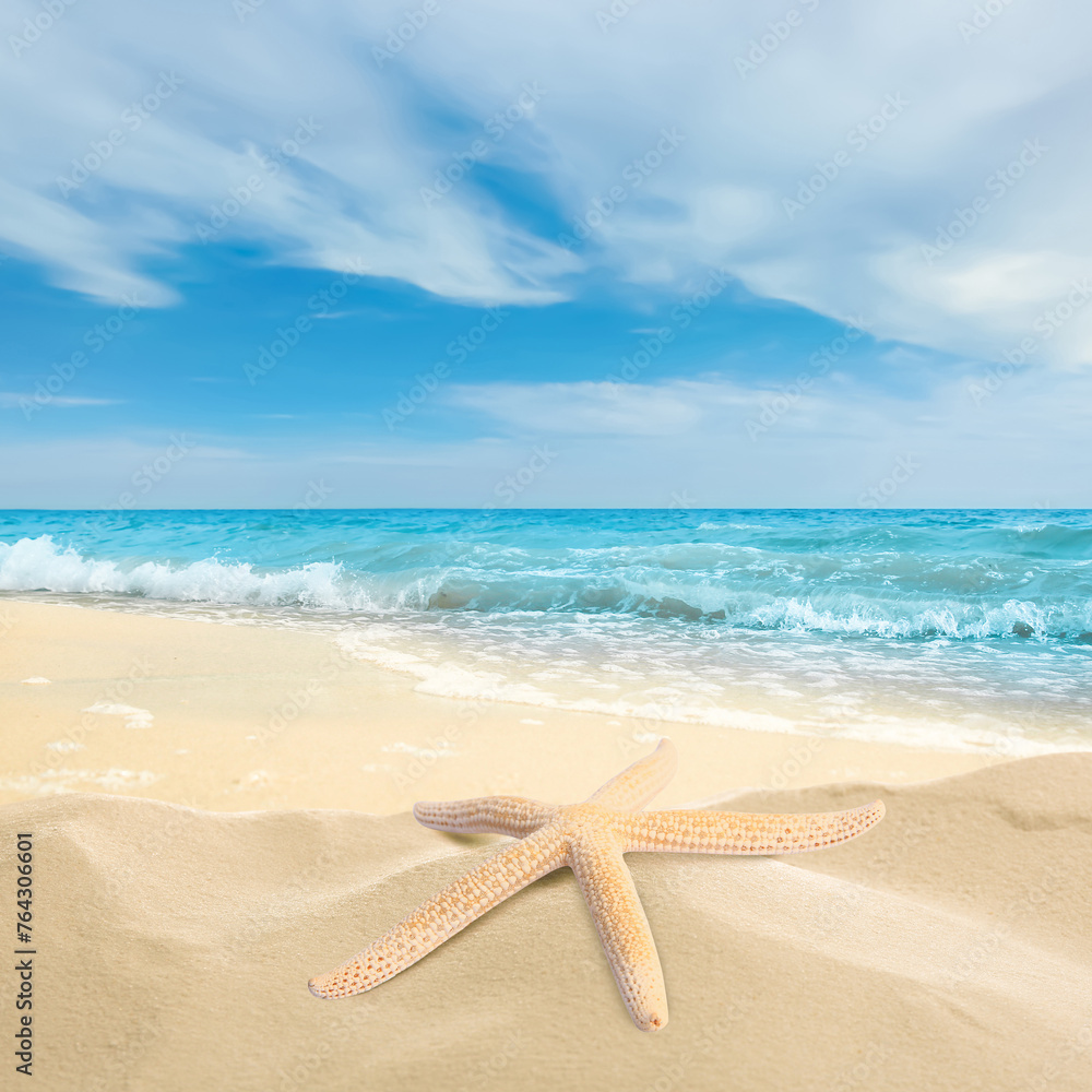 Beautiful starfish on sandy beach near sea Beautiful starfish on sandy beach near sea