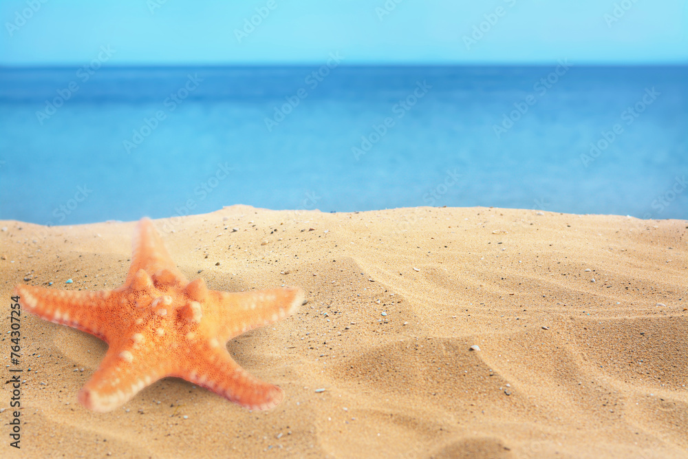 Starfish on sandy beach near sea, space for text Starfish on sandy beach near sea, space for text