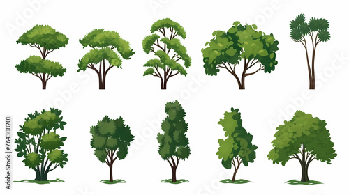 A set of green trees  vector illustration  in the style of watercolor  white background  simple design  high resolution