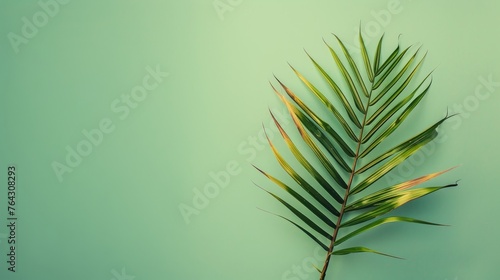 A minimalist palm leaf against a solid color background AI generated illustration