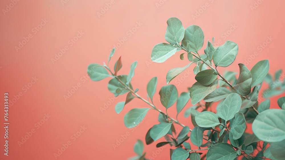 Soft mint green blending with muted coral tones AI generated illustration Soft mint green blending with muted coral tones AI generated illustration