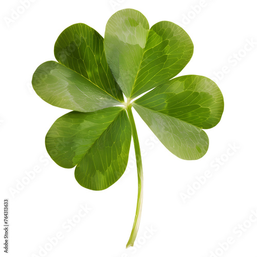 Lucky clover with four leafs png file, lucky clover for text and presentations and cards