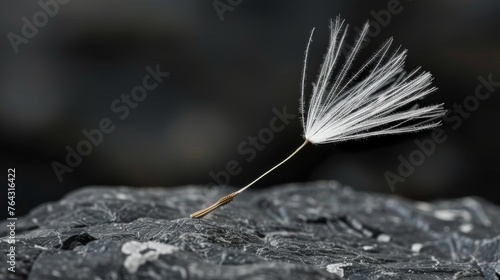 Close-up of a single dandelion seed against a dark background AI generated illustration