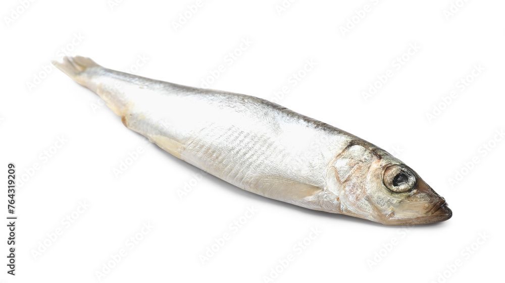 One fresh raw sprat isolated on white One fresh raw sprat isolated on white