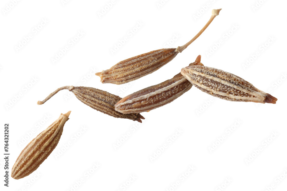 Fototapeta premium Many cumin seeds falling on white background