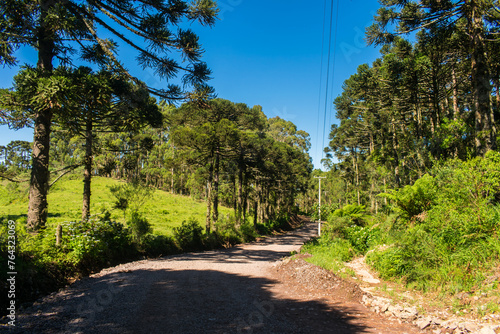 A view of Estrada da Serra Velha, countryside road in Sao Francisco de Paula, South of Brazil