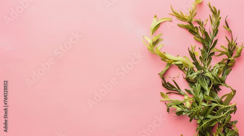 Algae pink background. photo