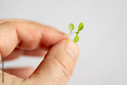 A hand holding a small green plant