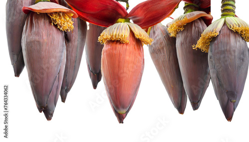 hanging banana flower on transparent background, cut out, png banana flower