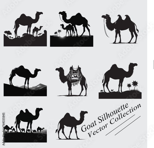 Camel Silhouette Vector Collection