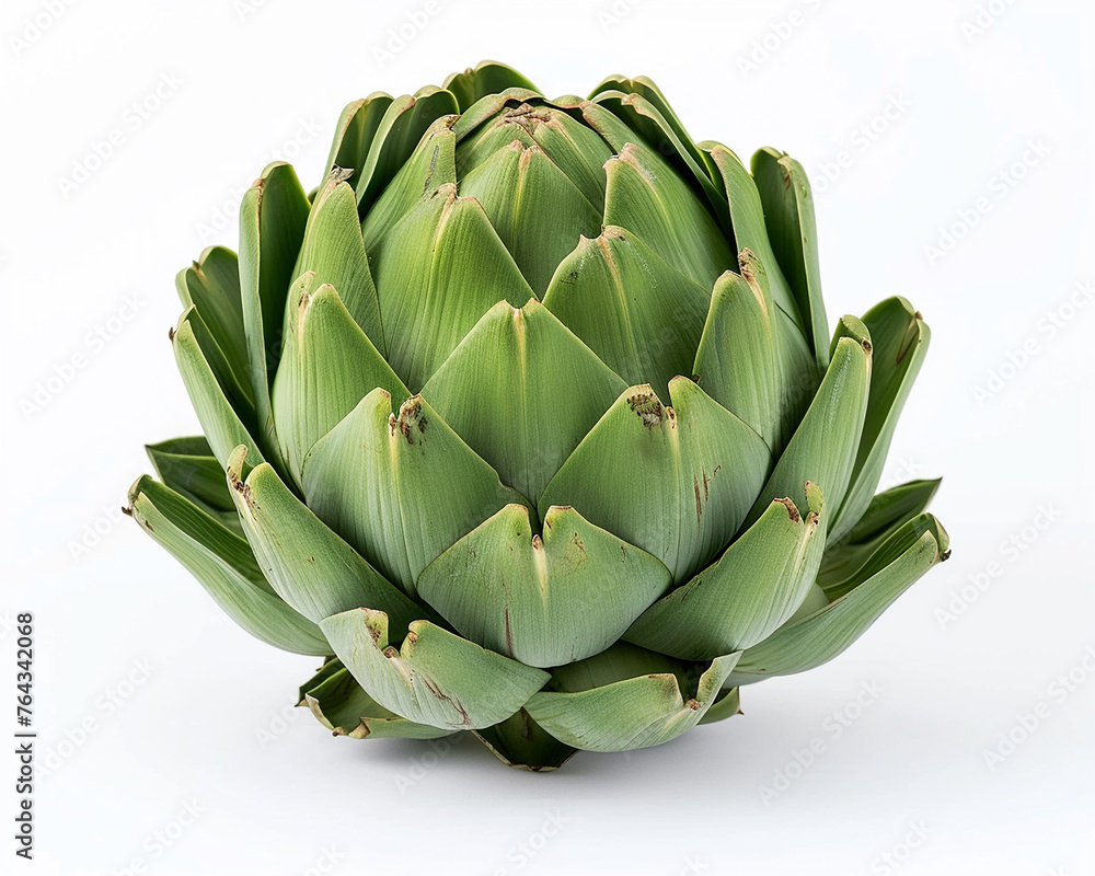 Fresh artichoke isolated on white background. Close-up Shot. Fresh artichoke isolated on white background. Close-up Shot.