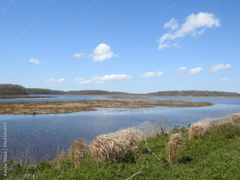 The scenic beauty of the wetlands within the Bombay Hook National Wildlife Refuge, during the spring season. The scenic beauty of the wetlands within the Bombay Hook National Wildlife Refuge, during the spring season.