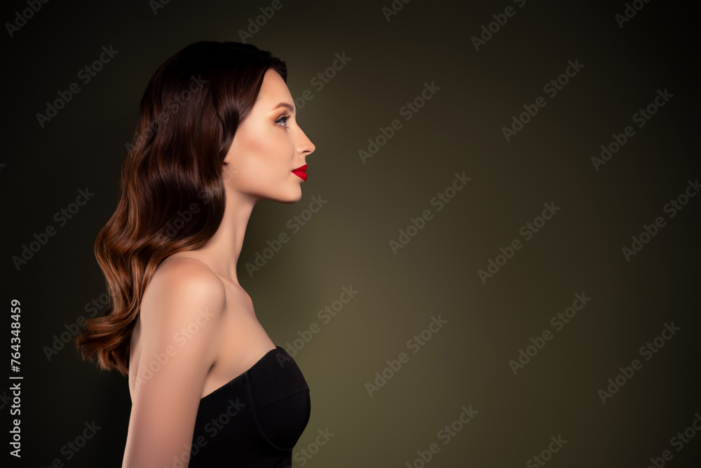 Fototapeta premium Profile side photo of lovely gorgeous lady showing her hollywood waves hairstyle for red carpet event empty space