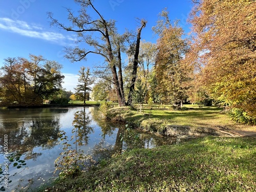 bank of small pond in autumn park