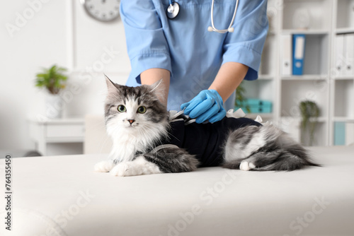 Veterinarian examining cute...