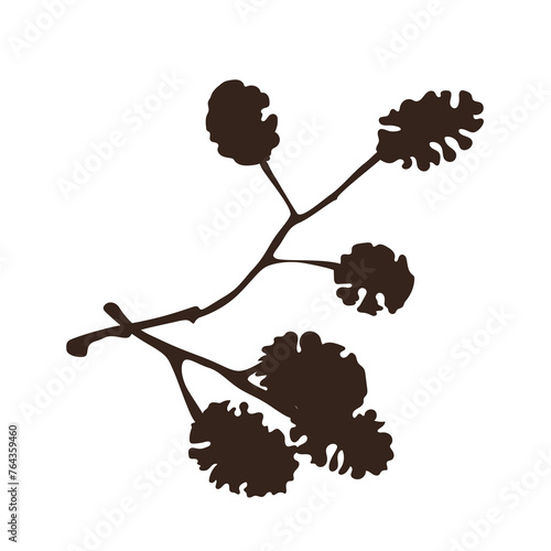 Alder Cones Icon, Alnus Cone Symbol, Dry Plant Branch Sign, Dry Alder Twig Silhouette Isolated on White Background, Vector Illustration