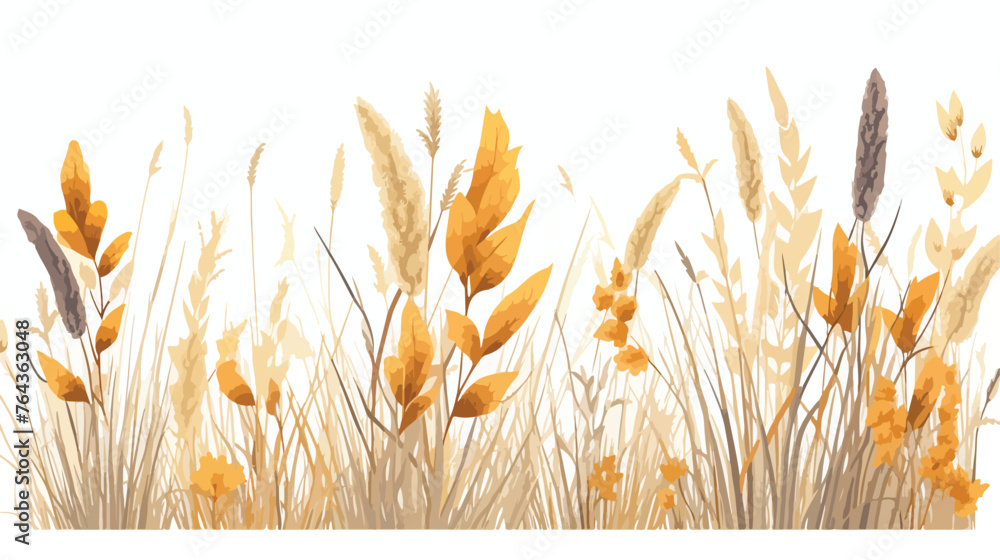 Lagurus ovatus dry grass with bristle on stems - obrazy, fototapety, plakaty 