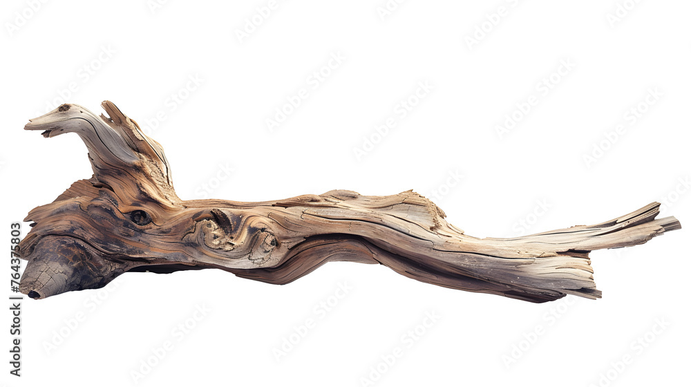 Driftwood isolated on transparent background Driftwood isolated on transparent background