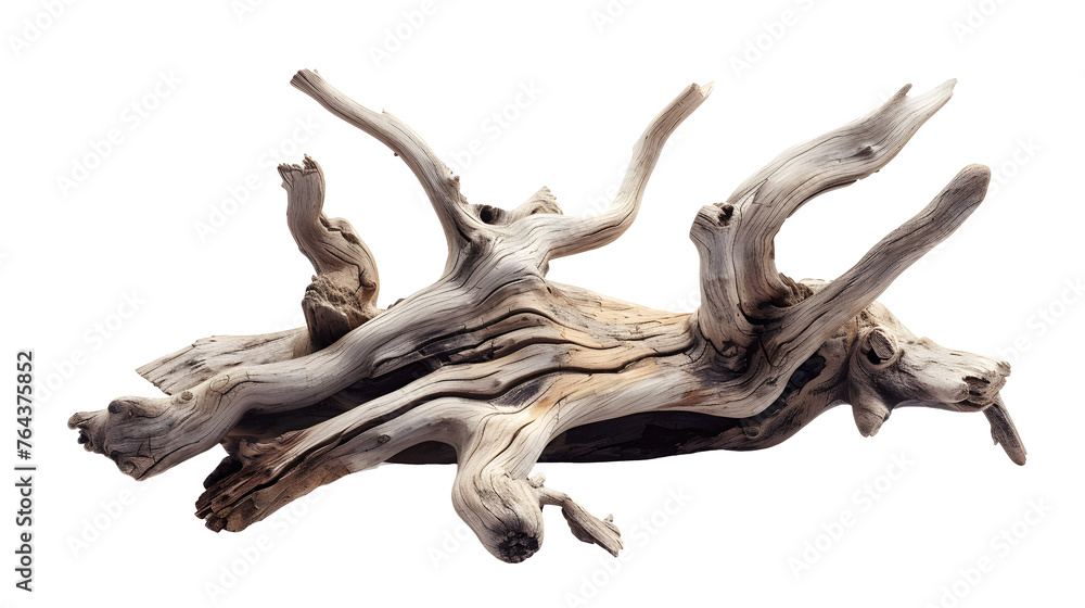 Driftwood isolated on transparent background
