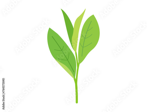 お茶の新芽をイメージしたイラスト