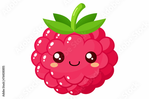 raspberry vector illustration