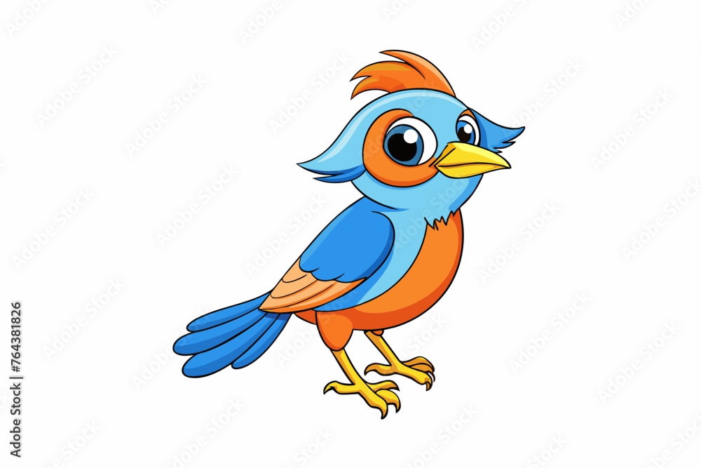 shrike vector illustration shrike vector illustration