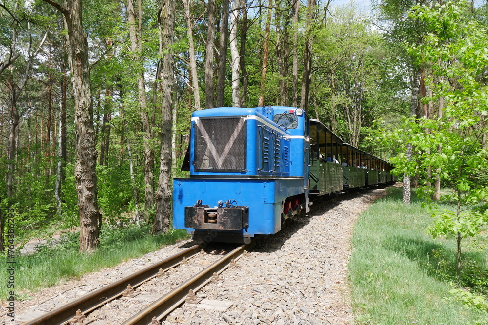 Naklejka premium Waldeisenbahn Muskau