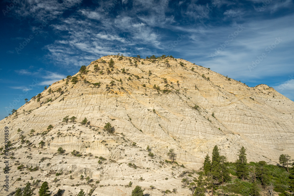 Fototapeta premium White Mountain with Blue Sky in Zion