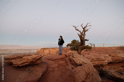 Person Standing on A Rocky Desert Overlook with A  Tree Silhouetted Against the Sky, Gazing out Over a Sweeping Canyon Vista photo