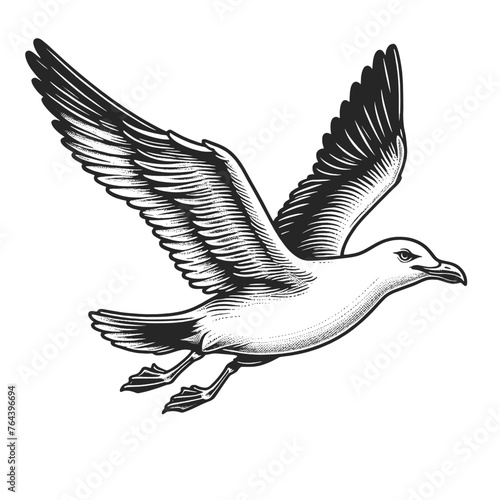 seagull bird graceful flight detailed wing feathers sketch engraving generative ai fictional character vector illustration. Scratch board imitation. Black and white image. T-shirt apparel design