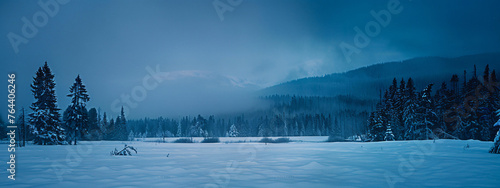 panoramic view of snowcovered field with spruce forest on background, mountains in the distance, moonlight, blue tones, night, foggy weather, panorama, high resolution photography